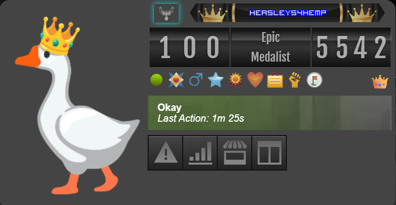 Last Action in Mini Profile